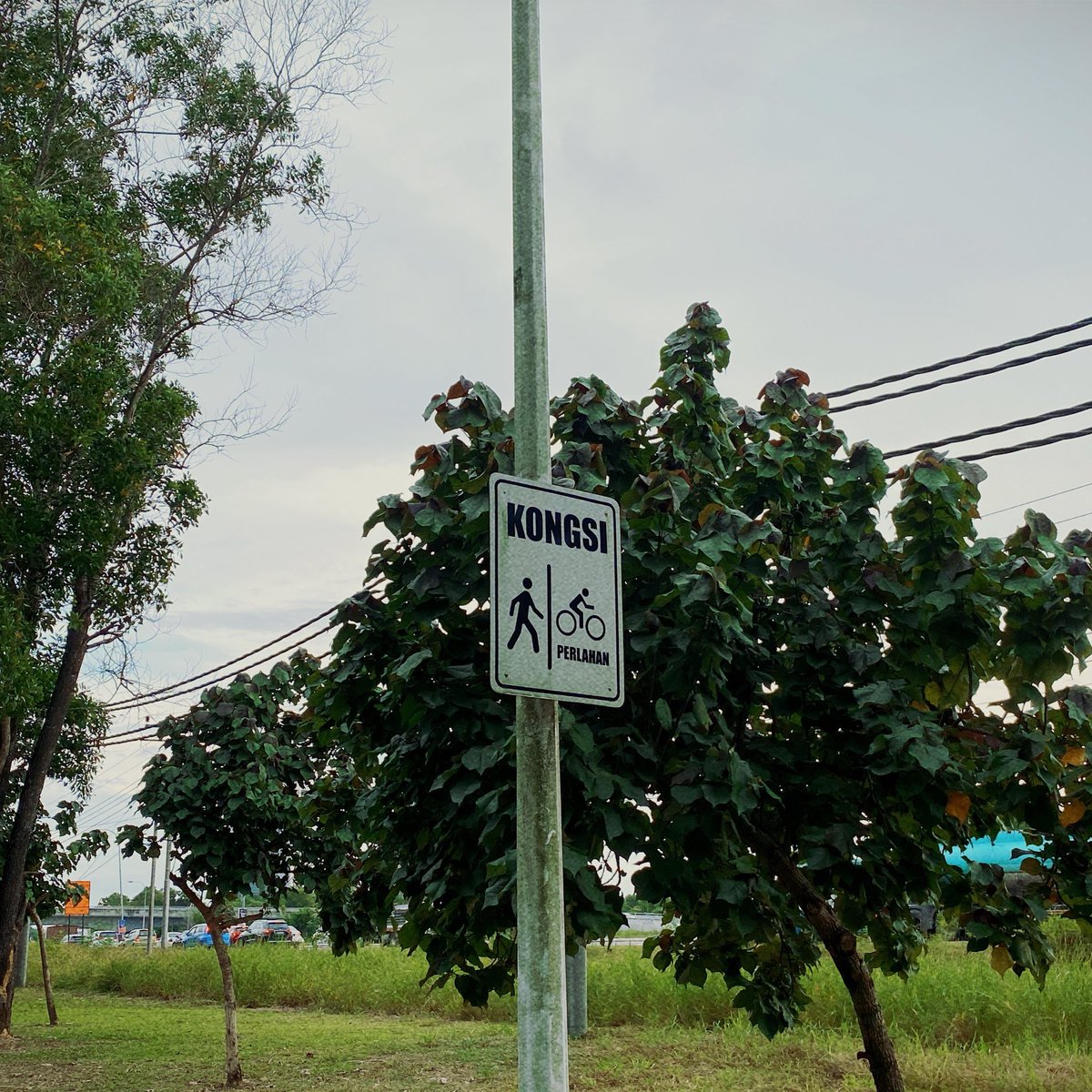 is_nnz's tweet photo. Memori. 🌳 https://t.co/PBc60GZhfs