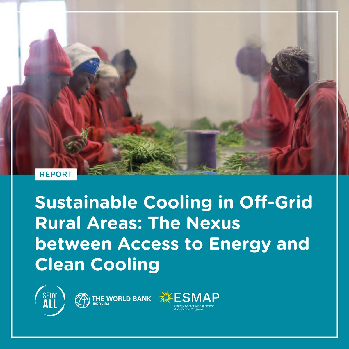 Mission_EE's tweet image. In 2022, 493 million people gained access to off-grid solar, but 306 million in rural areas still lack sustainable cooling.

A new report from @SEforALLorg &amp;amp; @WorldBank highlights the urgent need for off-grid cooling solutions.

🔗 LEARN MORE: t.ly/IWfUY

#ThisIsCool