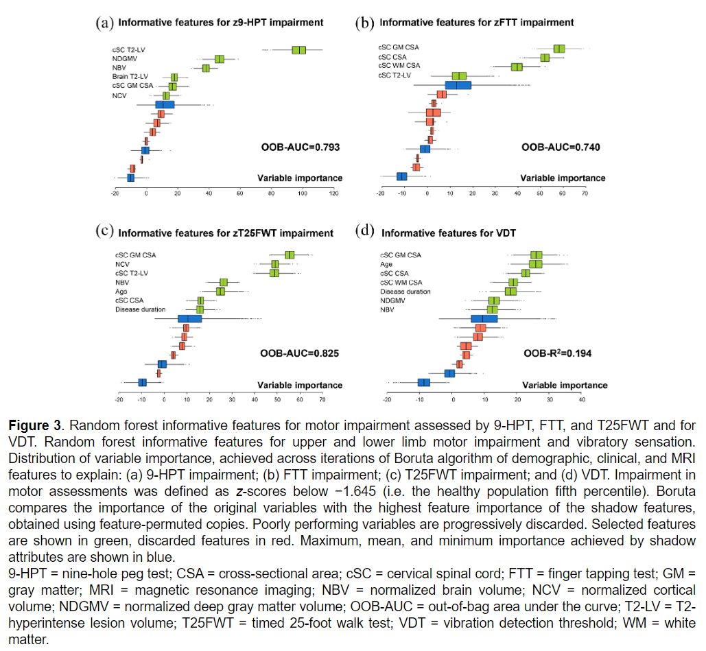 MSJ (@msj_research) on Twitter photo Cervical spinal cord MRI, especially grey matter atrophy, correlates to sensorimotor impairments in people with #MultipleSclerosis, more than brain MRI measures.
Study from <a href="/MorozumiTetsu/">Tetsu Morozumi</a> <a href="/rocca_mara/">Mara Rocca</a> <a href="/NRU_SanRaffaele/">@Neuroimaging_Research_Unit_SanRaffaele</a> ▶️ journals.sagepub.com/doi/abs/10.117… Cervical spinal cord MRI, especially grey matter atrophy, correlates to sensorimotor impairments in people with #MultipleSclerosis, more than brain MRI measures.
Study from <a href="/MorozumiTetsu/">Tetsu Morozumi</a> <a href="/rocca_mara/">Mara Rocca</a> <a href="/NRU_SanRaffaele/">@Neuroimaging_Research_Unit_SanRaffaele</a> ▶️ journals.sagepub.com/doi/abs/10.117…
