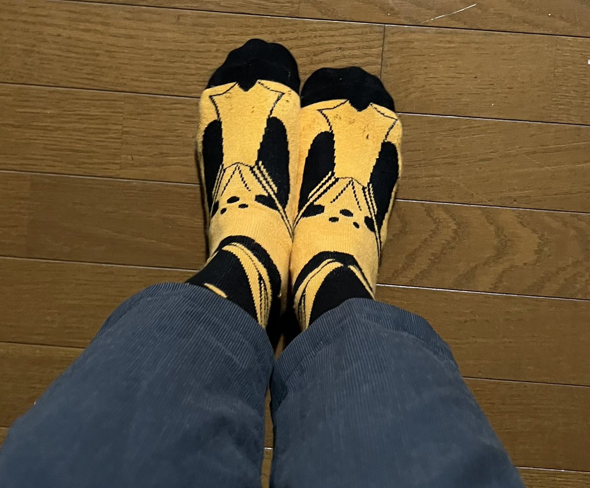 zeromaru_pets's tweet photo. ヒロポンさんの靴下頂いた！ふくらはぎまであるのに暑くない！ https://t.co/67sOnRP9mJ
