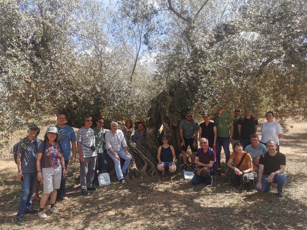 Diversos membres del <a href="/GramUB/">GRAM</a> hem participat en l’organització del XI Col•loqui de Pensament Geogràfic de <a href="/AGE_Oficial/">Asociación Española de Geografía</a>, entre Ulldecona i Benicarló, i amb “límit” i “frontera” com a conceptes clau. Dies intensos de debat i sortides de camp! <a href="/GeografiaUB/">Geografia UB</a> <a href="/hubsg_/">Hub en Sostenibilitat Global UB</a> <a href="/GH_UB/">Facultat de Geografia i Història UB</a>