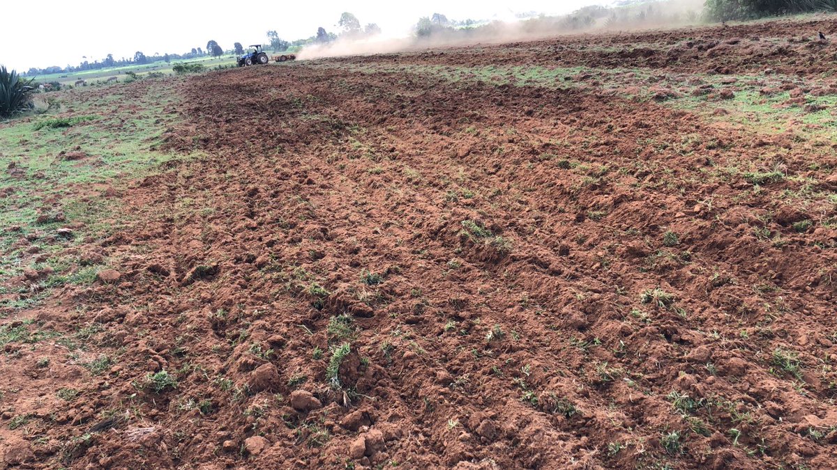 LaikipiaRanches's tweet image. PRICE DROP‼️ 

This offer is limited to the 3-acre parcels.

#JulyOffers.

📞or WhatsApp 0743 505 707