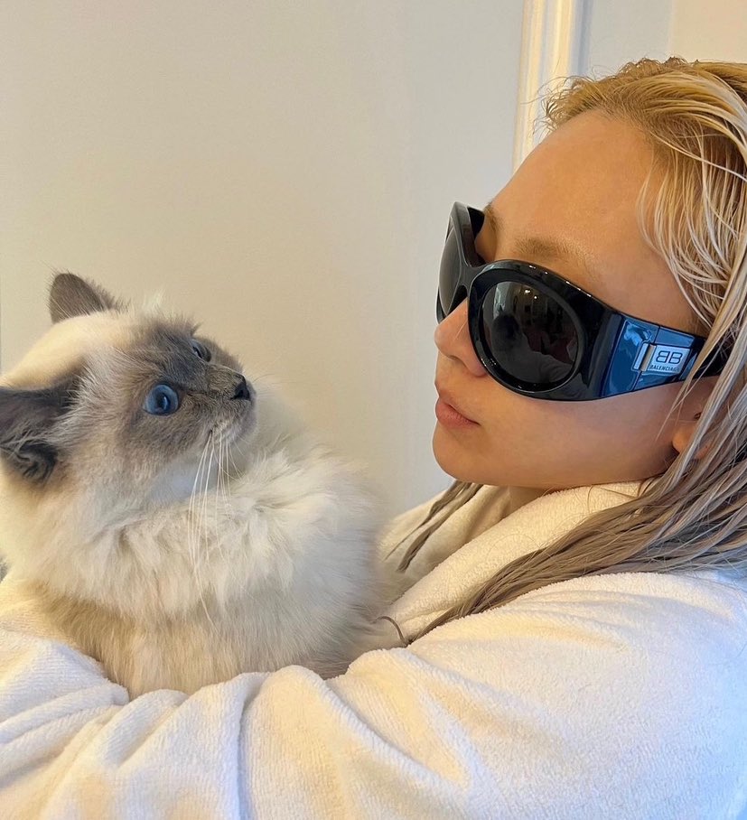 4evachaelin's tweet photo. CL &amp; jisoo with the same cat?😻i have to count this as an interaction 😭 https://t.co/PVPUQ8JoYI
