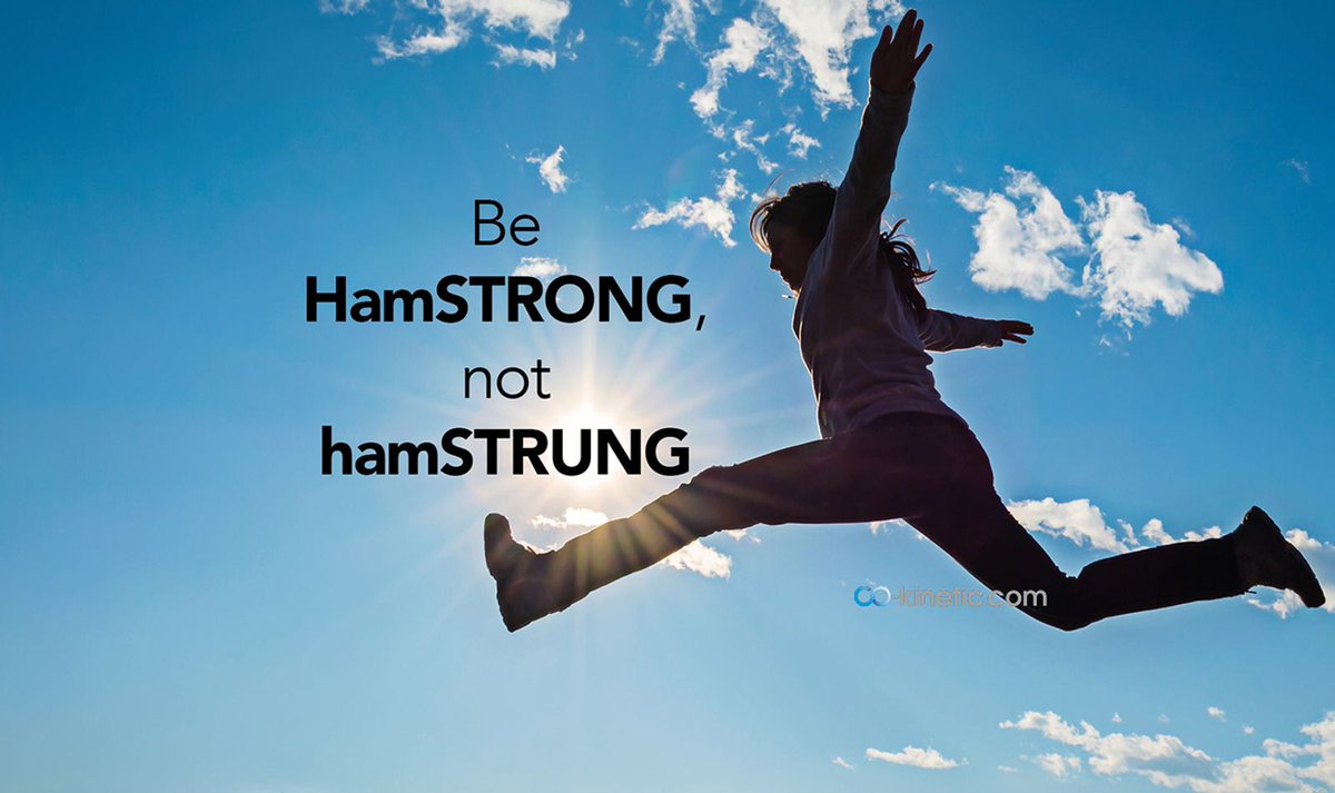 Download the guide and exercise sheet here. bit.ly/3VqHhRj