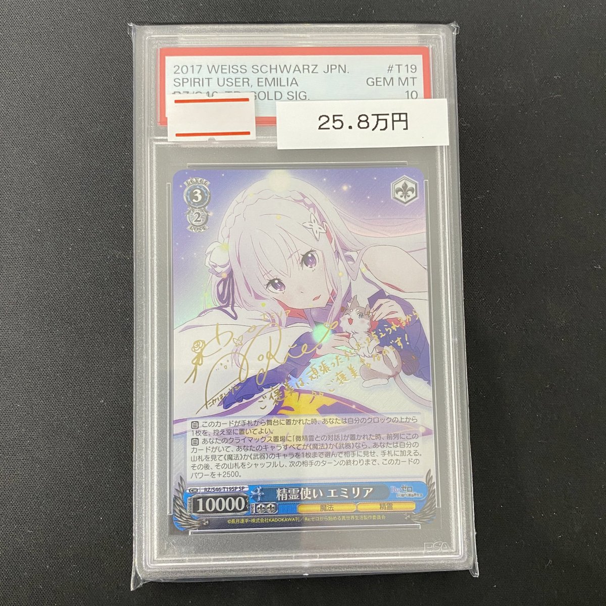 精霊使い エミリア sp