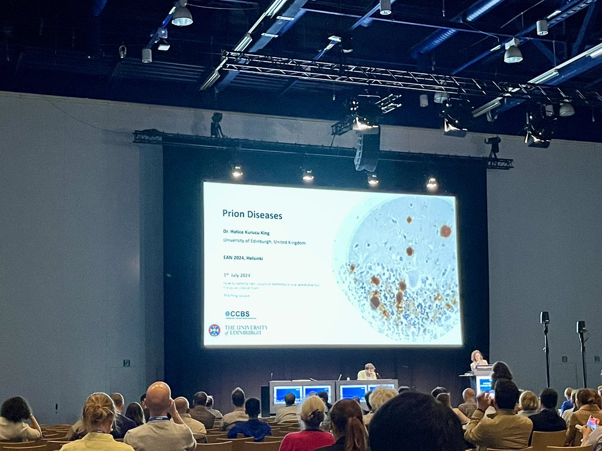 DeclanKing tweet media