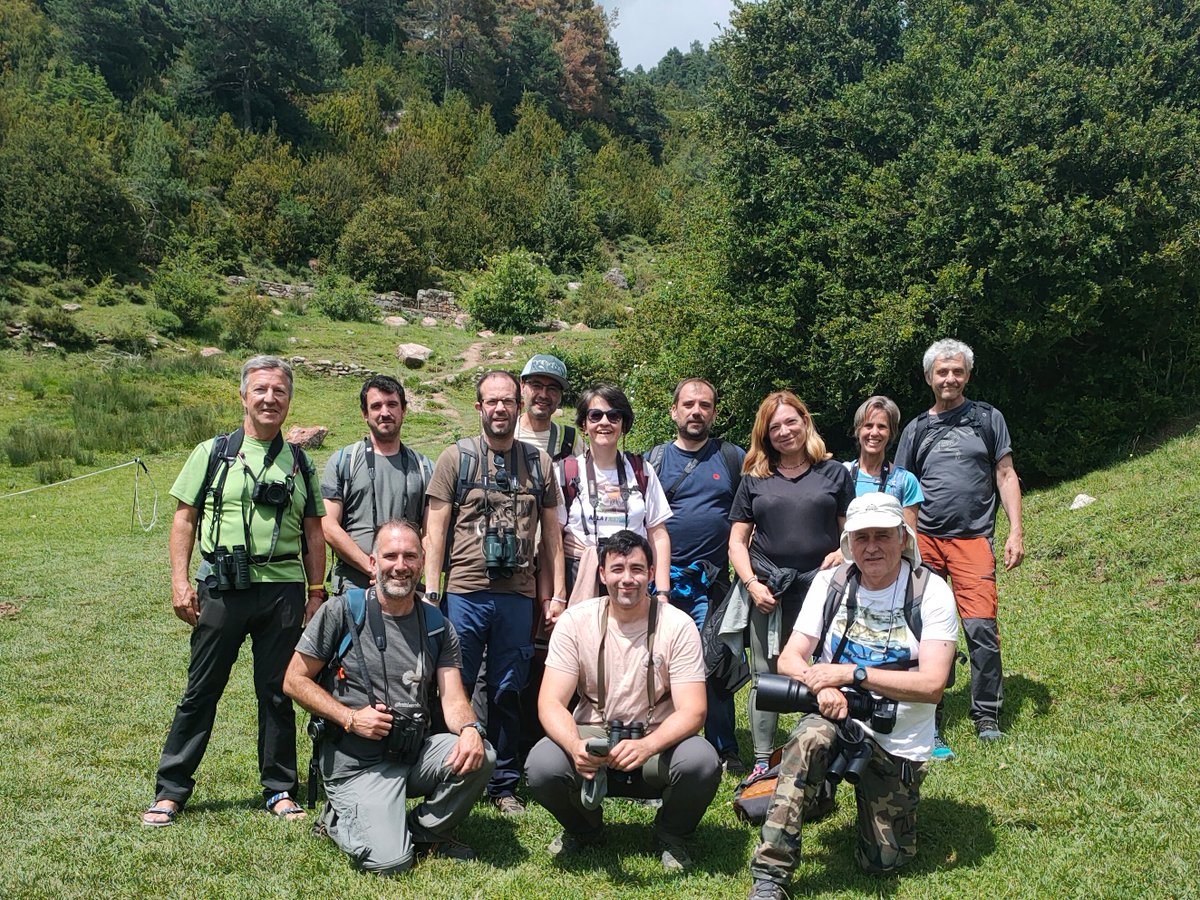 @hevistunocellet tweet media