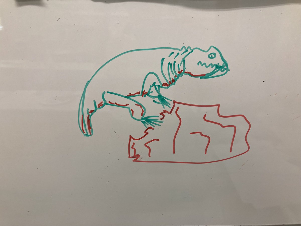 Radley Geology tweet media