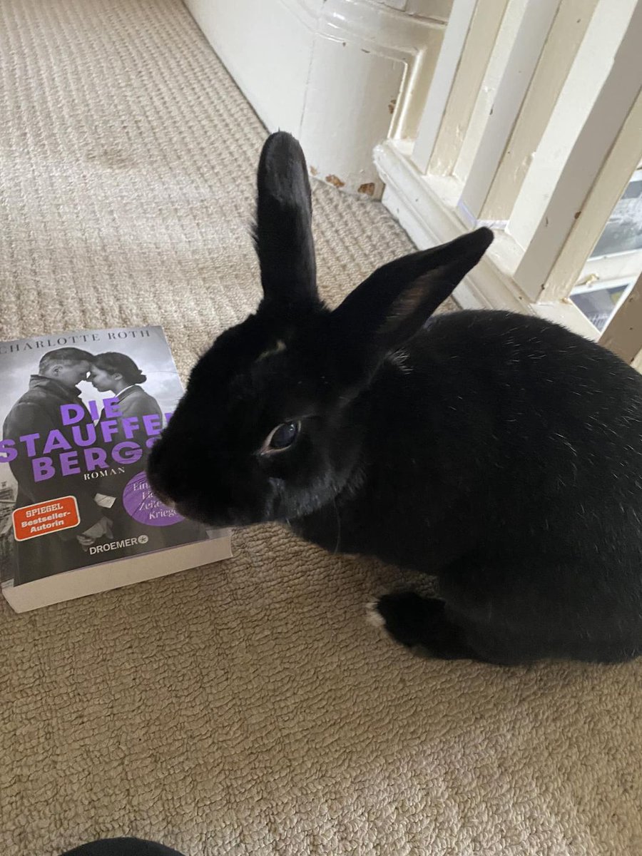 Charlotte_Lyne's tweet photo. Referent Onana Hase möchte sich eigentlich auf das bevorstehende Spiel von Belgien konzentrieren. Aber wenn ihm die Frau nun ständig so‘n Buch vor die Nase legt - was soll er da machen?
#stauffenbergs #buchtipp #Neuerscheinung #lesetipp #droemer #ava #EURO2024 #hasenwerbung https://t.co/xNtVPh9mIv