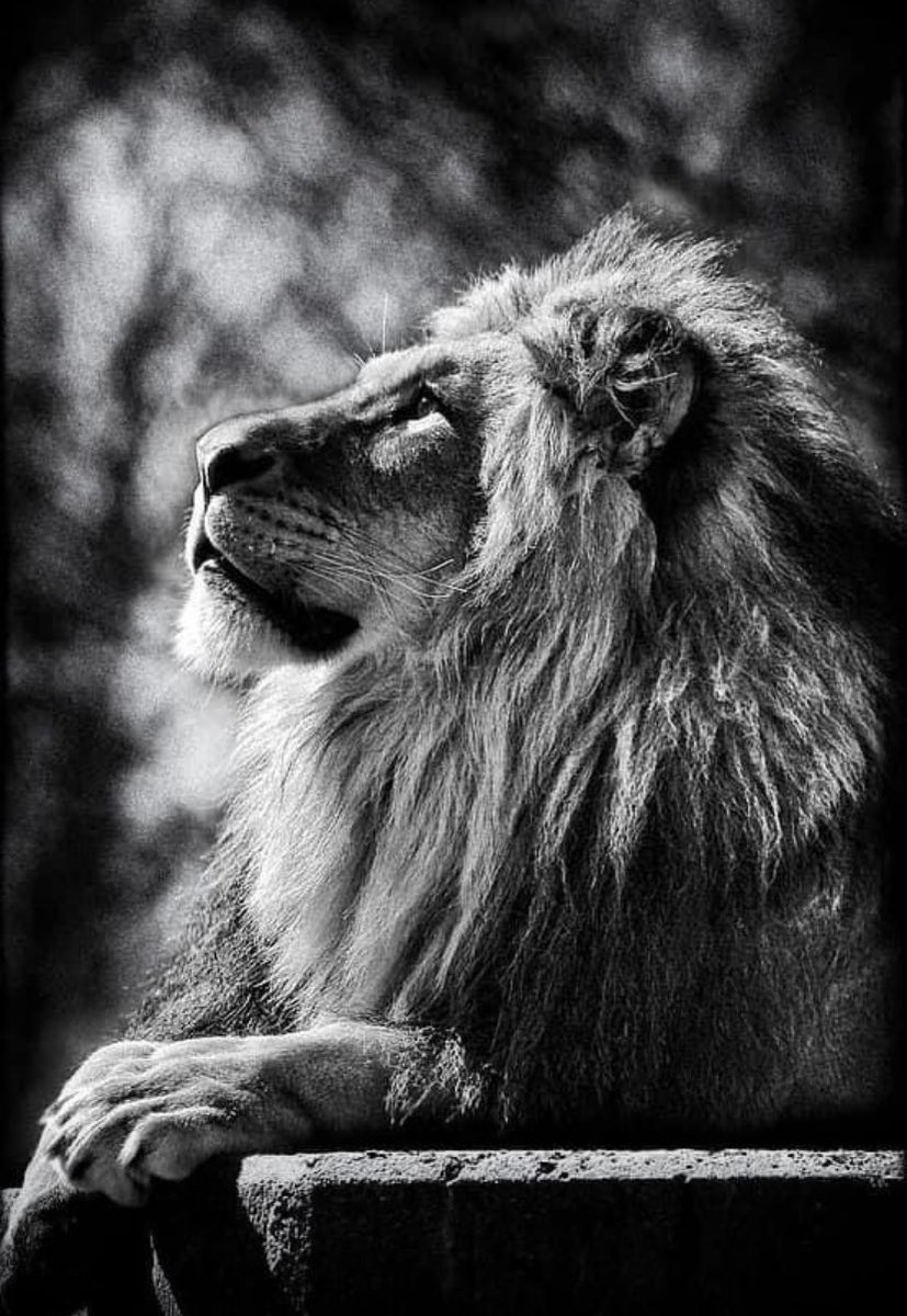 Warriortotruth's tweet image. God is Going to 
   Grow you Through 
 Everything you’re Going Through! 🙌       
       #KeepSeeking #Yield ♥️