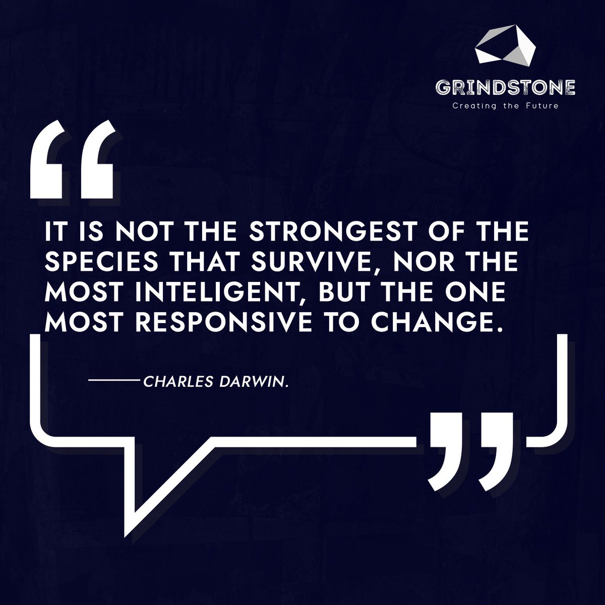 Grindstone Limited tweet media