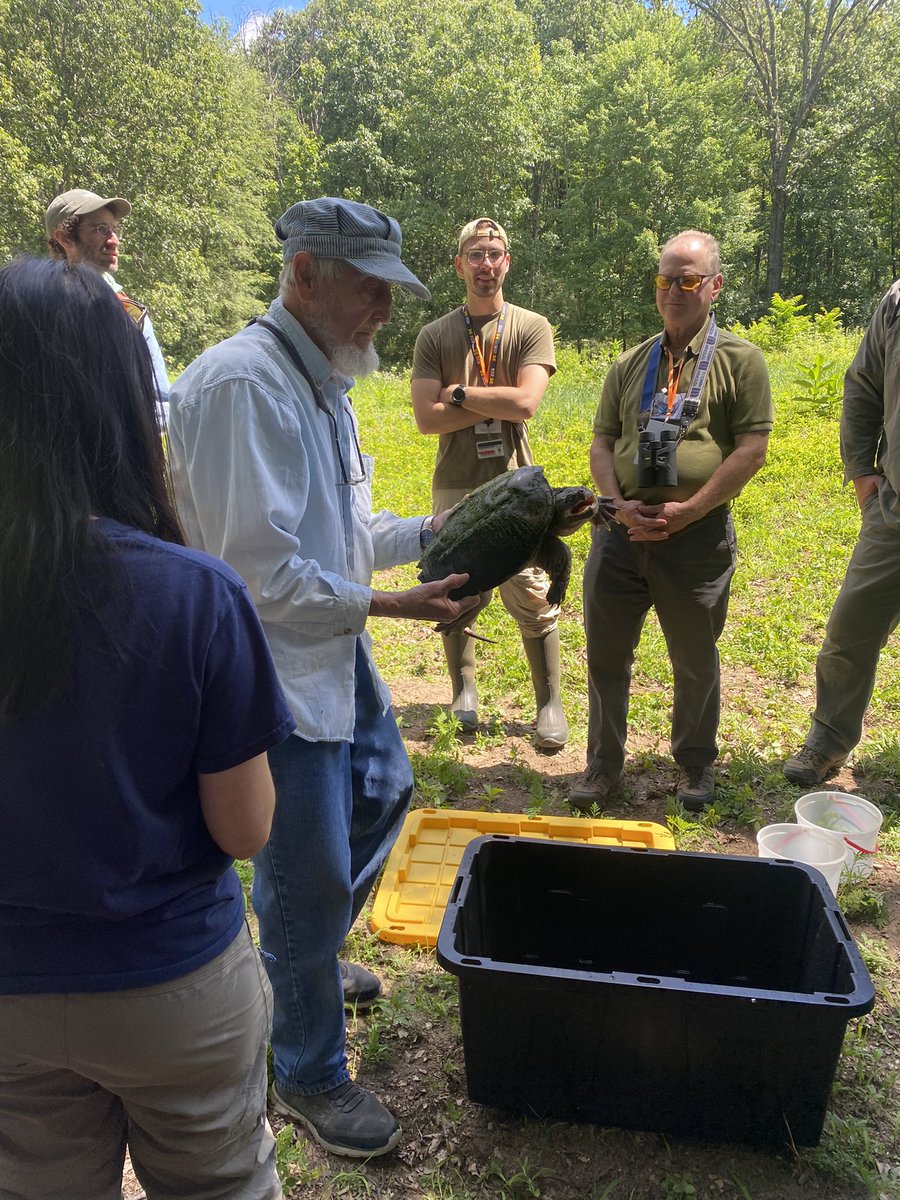 calklattgolba's tweet photo. That’s a wrap on the #SSAR2024! I enjoyed the field sites, museum of natural history, expansive collections, and all the amazing reptile and amphibian talks. I even ended up winning an old turtle Hawaiian shirt and the Siebert award for my talk! Thanks to #SSAR and #MWPARC! https://t.co/LggPdLy20q