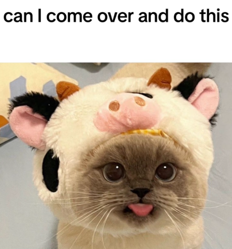 please blehhhh :PPPP