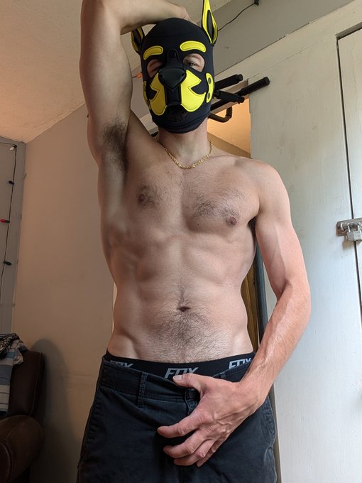 Good morning and happy Monday pups. Come get your weekly sniff allotment. https://t.co/FcVyikNW0X