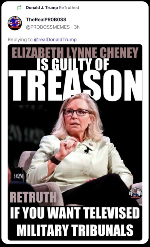 🚨DEVELOPING: Trump reposted an image calling Liz Cheney "guilty of treason" and for her to be prosecuted in "televised military tribunals"

Do you agree with President Trump?