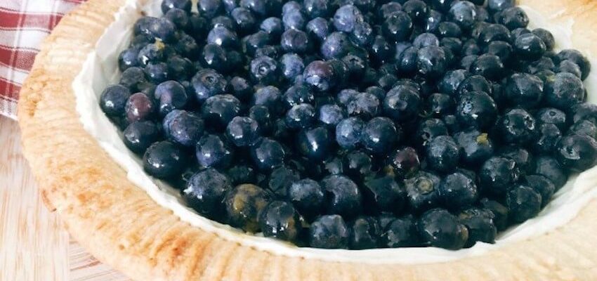DiscoverSelf's tweet image. Best Fresh Blueberry Pie Recipe for A Healthy Summer Time Dessert #desserts #dessertime #healthyeating #healthy #blueberries #pie #pierecipe bit.ly/34NWvmb