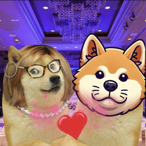 CHACHAERC's tweet photo. Two is better than one, always. $DOGE $CHACHA https://t.co/hT4SMnKhhK