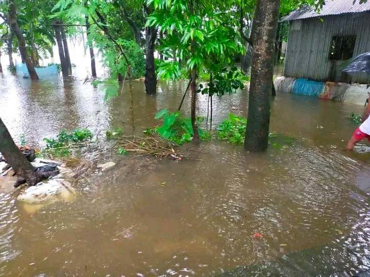 Humayara Jeba tweet media