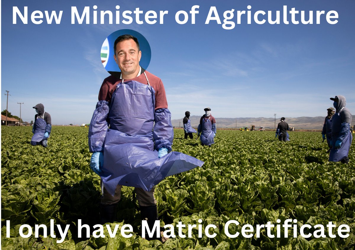 Merge Battle Server🇿🇦 | NateKing3103 🇿🇦 tweet media