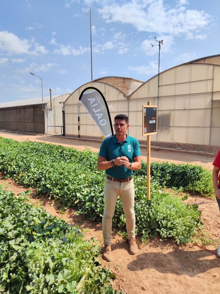 🍈🍉 <a href="/SeminisIberia/">Seminis Iberia</a>  ha iniciado una nueva Melon&amp;Watermelon Week en Murcia, en esta ocasión han querido que todo gire entorno al #SABOR, con mayúsculas. La casa de semillas presume de ofrecer el mejor sabor del mercado y con el satisface las necesidades de agricultores y