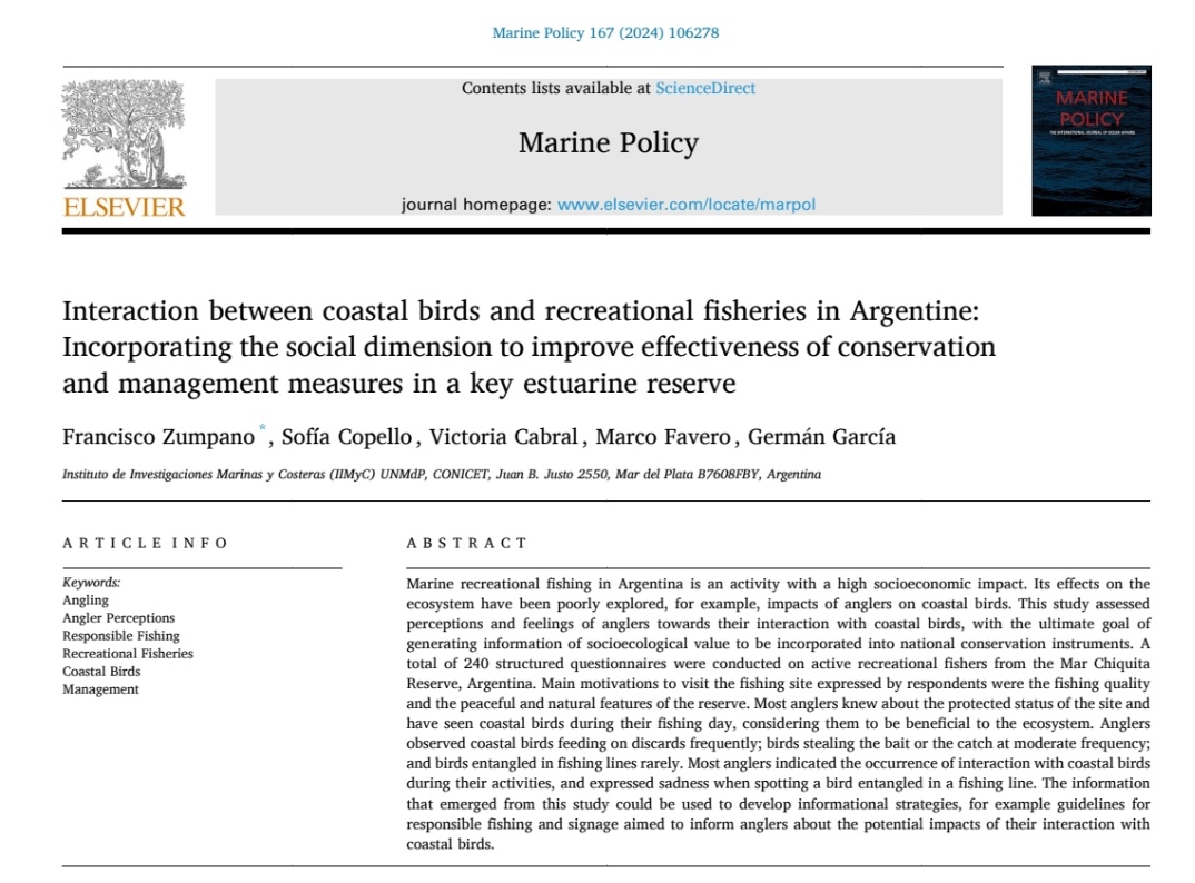 Aves Marinas y Costeras - MdP tweet media