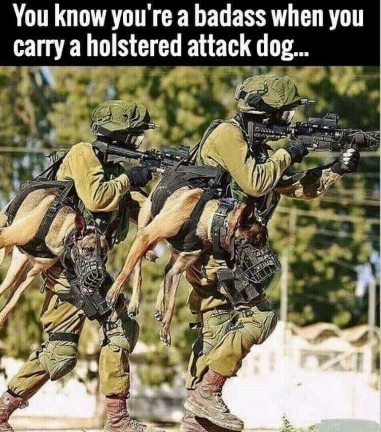Acdoc88's tweet photo. #K9Power https://t.co/pajDyyglPI
