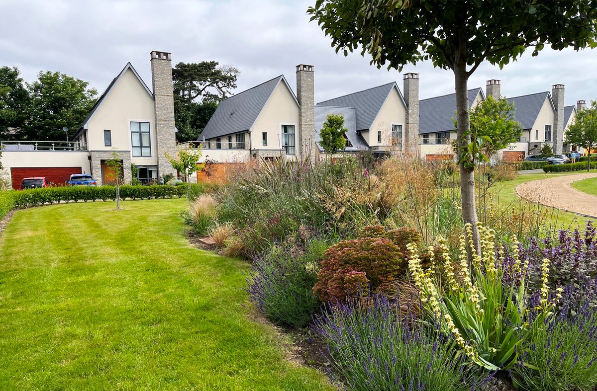 paddesignltd tweet media