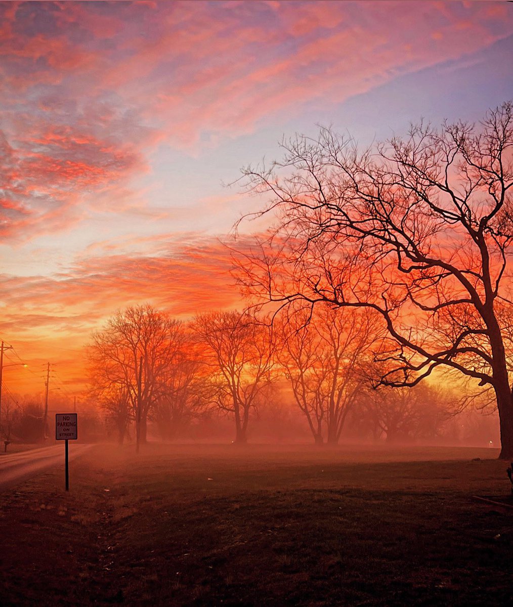 Tennessee Dawn <a href="/elonmusk/">Elon Musk</a>