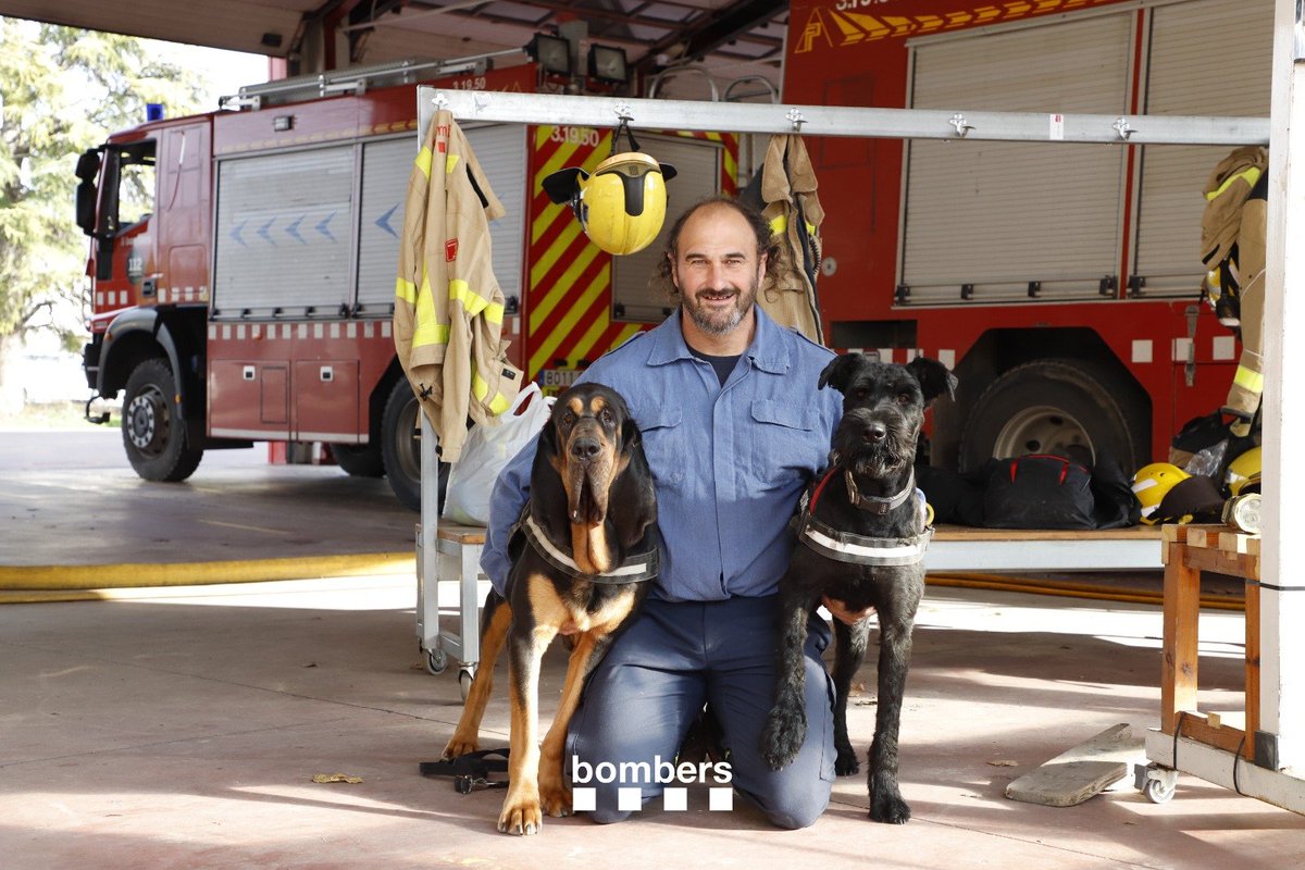 bomberscat's tweet photo. Aquest cap de setmana ens ha deixat l'Inde, que va formar part de l'equip del #GRCR #bomberscat durant 8 anys i va participar en nombroses recerques. Va ser una gran mestra i millor companya, amb qui vam aprendre molt. Li agraïm la seva tasca i fem arribar el nostre condol. https://t.co/UwWQqTtdmB