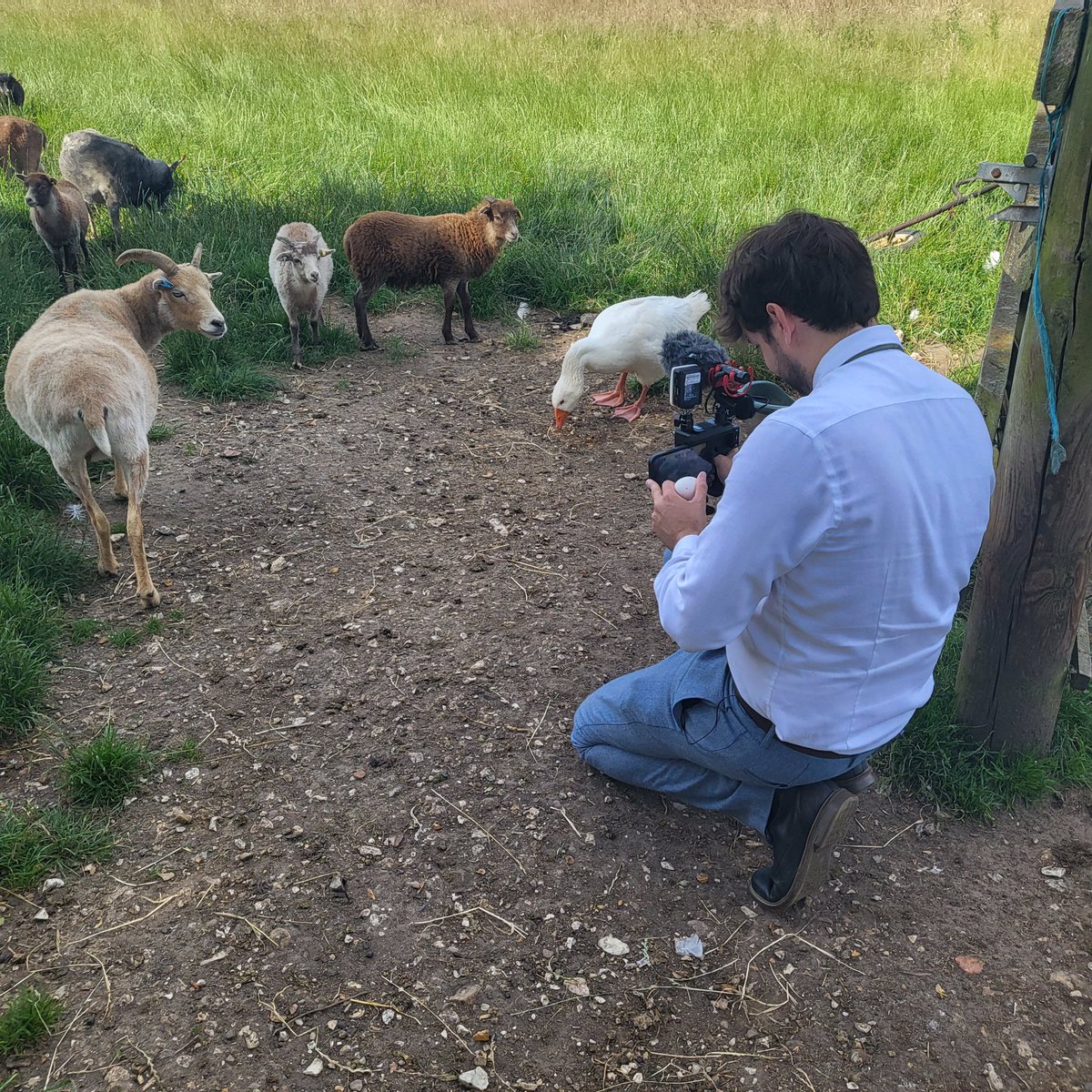 Nick Dowler tweet media