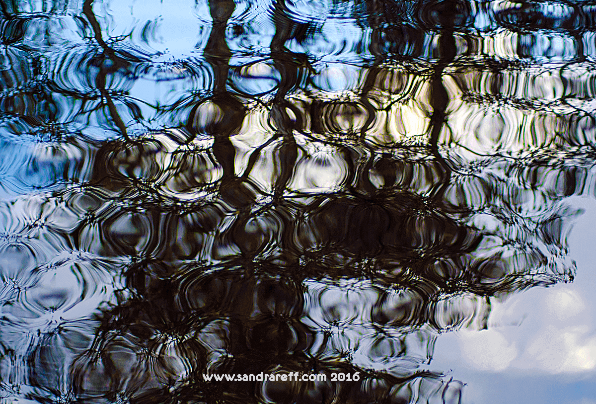 ReffSandra's tweet photo. Reflections - #everglades #reflections #abstractart #Florida #naturephoto https://t.co/PP276QLMGY