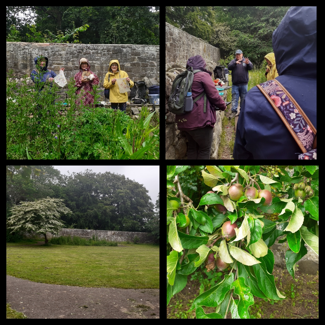 Thank you to Paul of the <a href="/TCVtweets/">The Conservation Volunteers (TCV)</a> who delivered a wonderful volunteer event for the West Lothian volunteers on 27/6. We learned so much about the Howden Walled Garden area, nature, flowers, herbs and tea. All in the pouring rain but after a while you never noticed that. #nature
