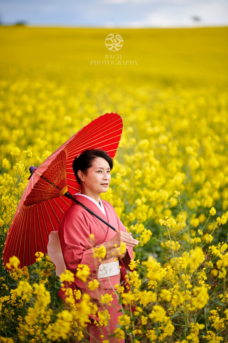 PhotographyBach's tweet photo. "La campagne française"
Moselle France  04/2024
フランス　モゼル市
Photo Session Reservation: +81 80-2515-1861
Bach Photography - バッハフォトグラフィー

#kimono #photography https://t.co/G3c8BAiQGK