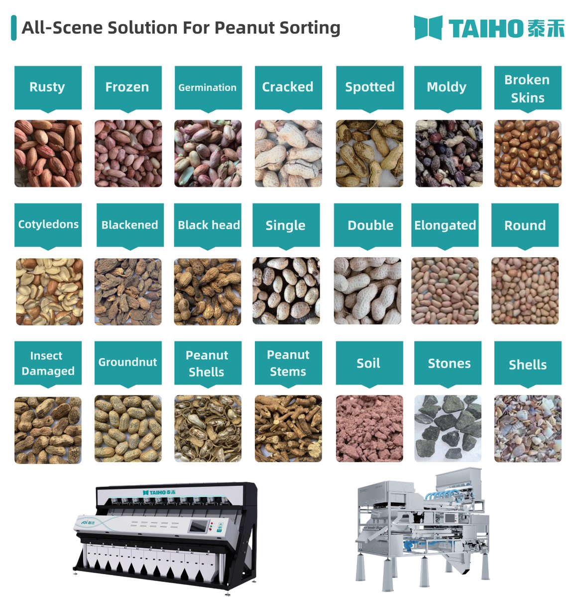 Taiho603656's tweet image. ALL-SCENE SOLUTION FOR PEANUT SORTING
TAIHO Observation Pro Series and AI Deep Learning Series Color Sorter
AI Intelligent Sorting
The New Benchmark in Sorting
#peanutsorting #taihosorter