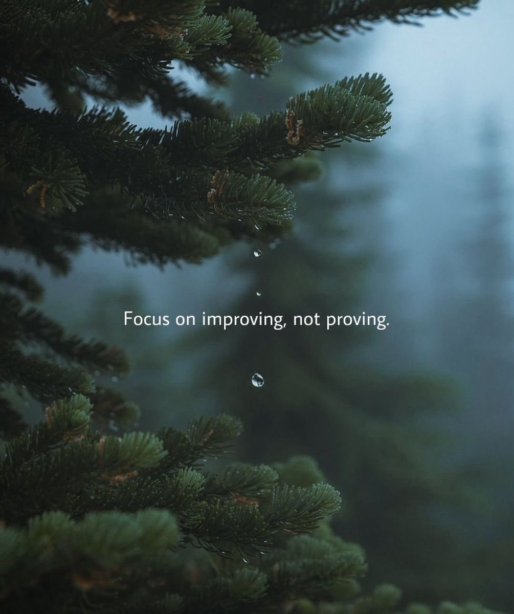 earthcurated's tweet image. 🌿