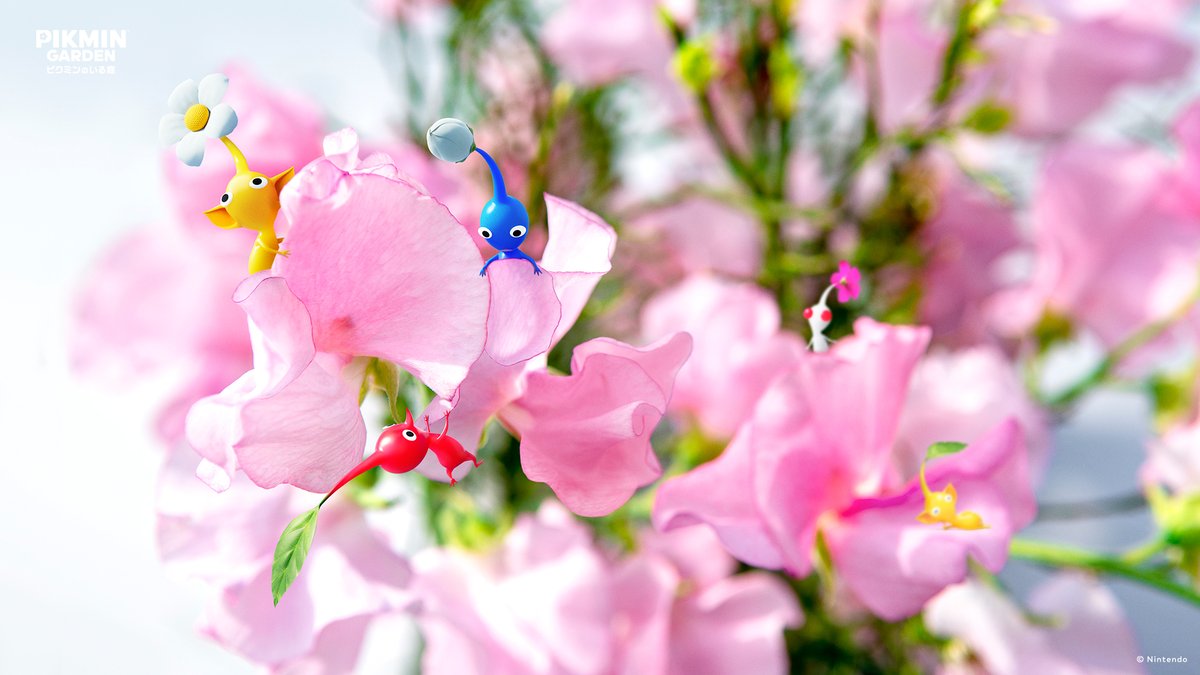 scully1888's tweet photo. [THREAD]

Nintendo Japan has just released a bunch of lovely Pikmin wallpapers. You need to sign in and open them one by one so I've done the hard work for you.

Open a folder in Windows, save them all there, set a wallpaper slideshow, job done.

More + mobile versions in replies https://t.co/2Bm1Uj8YDW