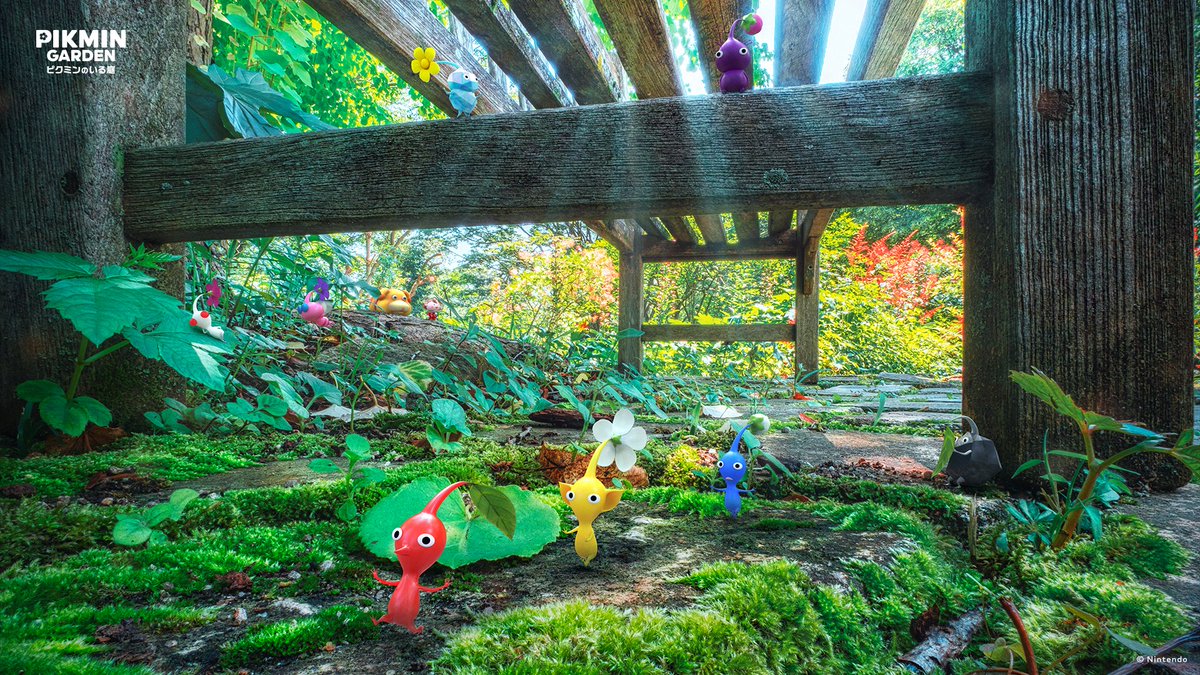 scully1888's tweet photo. [THREAD]

Nintendo Japan has just released a bunch of lovely Pikmin wallpapers. You need to sign in and open them one by one so I've done the hard work for you.

Open a folder in Windows, save them all there, set a wallpaper slideshow, job done.

More + mobile versions in replies https://t.co/2Bm1Uj8YDW
