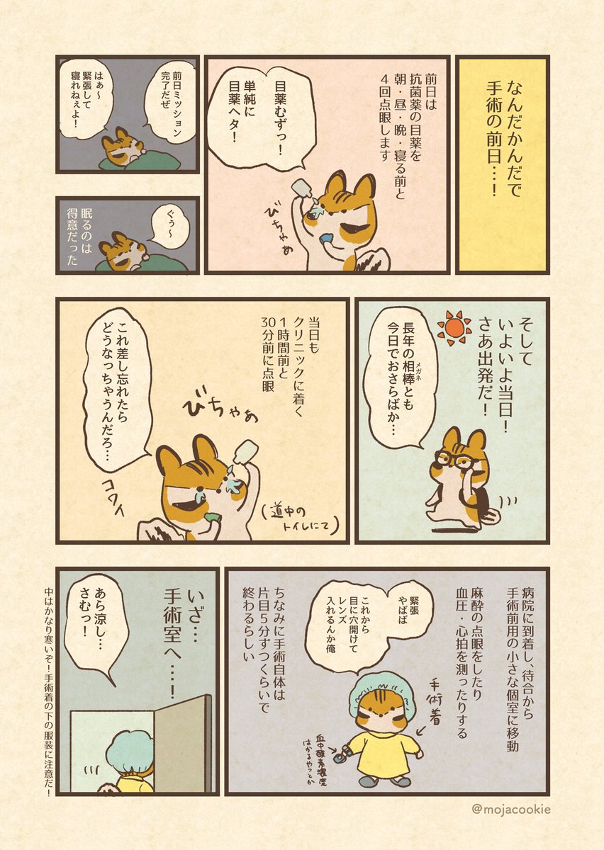 ICL(眼内コンタクトレンズ)治療を受けましたレポ(2/3) 