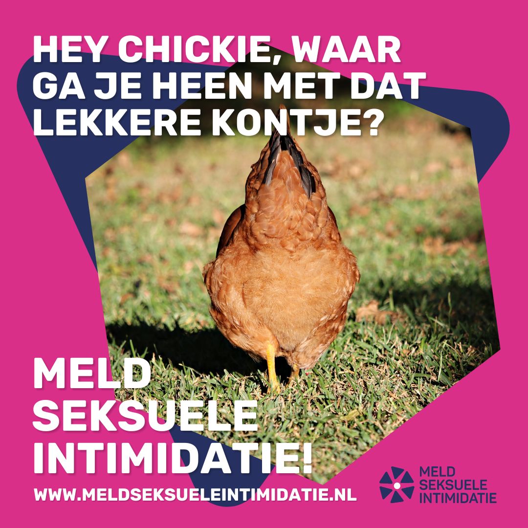 Gebaren die seksueel contact/handelen uitbeelden kunnen vanaf 1 juli als strafbaar worden gezien. 
Bijvoorbeeld het maken van masturbatie-, lik-, pijp- en/of penetratiebewegingen in de richting van een ander. Deze kunnen als strafbaar worden gezien.