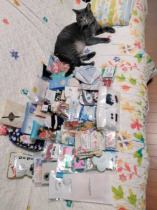 お手紙差し入れありがとうございました!途中差し入れなくなってしまいお渡しできず申し訳ないです すべて大事に読ませて頂いてます、差し入れも食べますおいしい〜