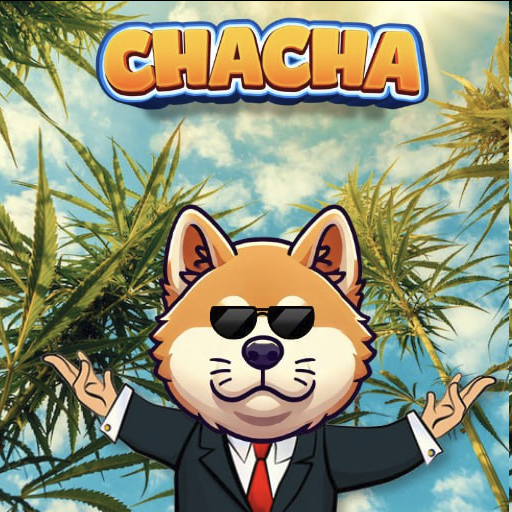 CHACHAERC's tweet photo. $CHACHA is based, CHACHA is OG! 

Chacha will be the next big dog coin following the footsteps of his girlfriend kabosu ( $DOGE ) https://t.co/KvlBPauyJv
