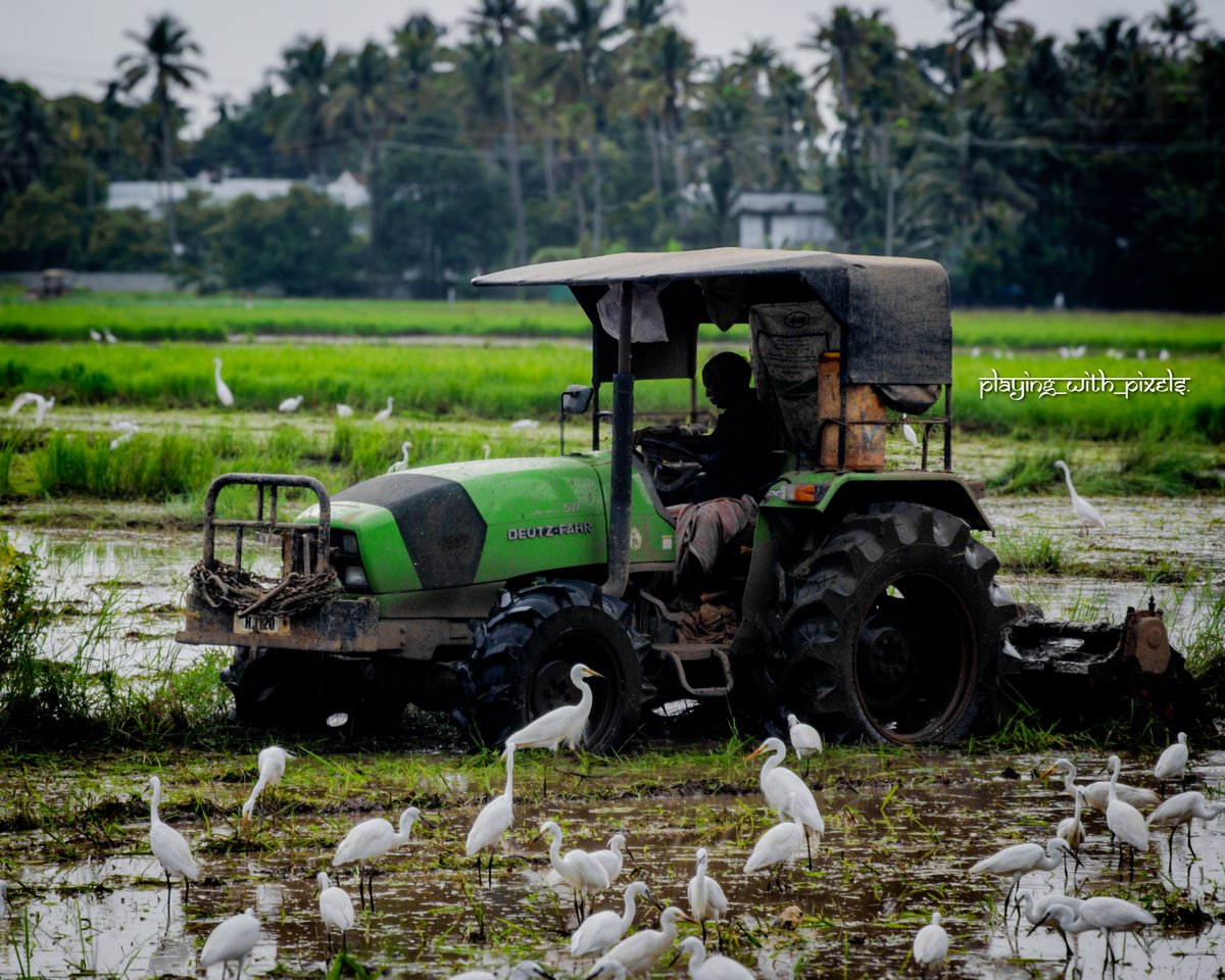 playingwtpixels's tweet photo. "Agriculture is the most healthful, most useful, and most noble employment of man." — George Washington

#farmer 
#landscape 
#crops
#tractor 
#green
#kerala 
#nature 
#framing https://t.co/saI1l4t1VM