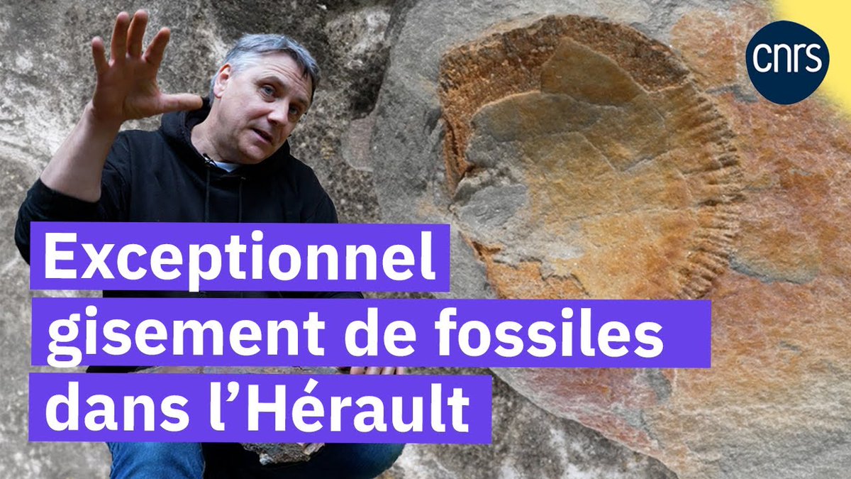 Observatoire de Lyon (@obslyon) on Twitter photo ⛰️ REPORTAGE VIDÉO
Découvrez le site fossilifère exceptionnel de Cabrières, un des plus incroyables de la planète. Révélé par un couple de passionnés, il est maintenant étudié par des paléontologues du monde entier comme Bertrand Lefebvre du <a href="/LGLTPE/">Laboratoire de Géologie de Lyon</a>.
➡️ youtube.com/watch?v=WvXo4S… ⛰️ REPORTAGE VIDÉO
Découvrez le site fossilifère exceptionnel de Cabrières, un des plus incroyables de la planète. Révélé par un couple de passionnés, il est maintenant étudié par des paléontologues du monde entier comme Bertrand Lefebvre du <a href="/LGLTPE/">Laboratoire de Géologie de Lyon</a>.
➡️ youtube.com/watch?v=WvXo4S…