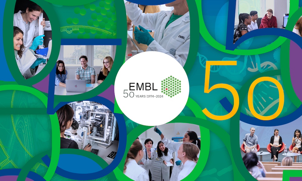 Founded half a century ago, Europe’s life sciences laboratory continues to champion innovative scientific research, services, technology development, &amp; training, with support of its member states.

Join us as we celebrate our birthday this week #EMBL50🎂
 
embl.org/news/embl-anno…