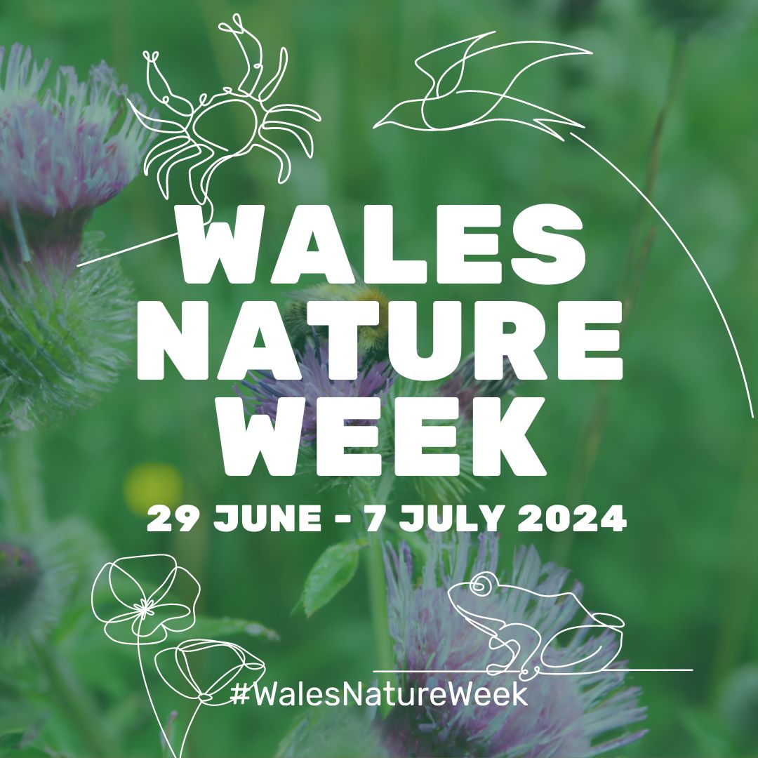To make the Wales Coast Path more accessible to people of all abilities, we are working with partners to identify and improve sections of the Path.

Read the blog about it here👉 orlo.uk/FslUX 

And find your local #WalesNatureWeek events👉 orlo.uk/Pd0pT