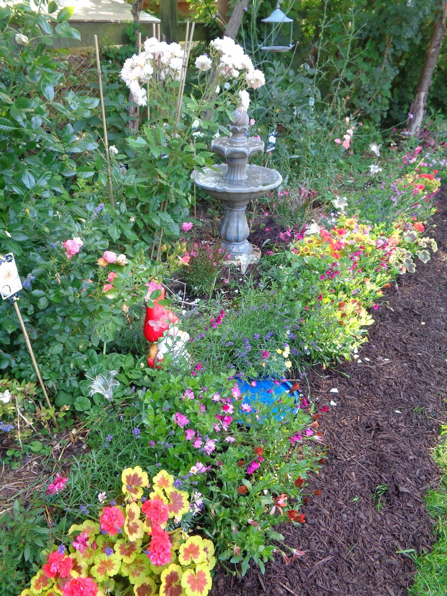 playmovictorian (@playmovictorian) on Twitter photo 💚🧑🌾🌺 Happy 1st July from my cheerful little garden 😊⛅️⛲️! 🌺👩🌾💚
<a href="/GWandShows/">BBC Gardeners World</a> <a href="/TheMontyDon/">Monty Don</a> <a href="/CarolKlein/">Carol Klein</a>
<a href="/mr_plantgeek/">Mr Plant Geek ™</a> <a href="/hayloftplants/">Hayloft</a> <a href="/kewgardens/">KewGardens</a>
<a href="/RHSWisley/">RHS Garden Wisley</a> <a href="/The_RHS/">The RHS</a> <a href="/nationaltrust/">National Trust</a>
<a href="/GdnsIllustrated/">Gardens Illustrated</a> <a href="/finegardening/">Fine Gardening</a> <a href="/ThompsonMorgan/">Thompson & Morgan</a>
<a href="/Plants2Gardens/">Plants2Gardens</a> <a href="/BlomsBulbs/">Blomsbulbs</a> <a href="/deJagerBulbs/">P. de Jager & Sons Limited</a> 💚🧑🌾🌺 Happy 1st July from my cheerful little garden 😊⛅️⛲️! 🌺👩🌾💚
<a href="/GWandShows/">BBC Gardeners World</a> <a href="/TheMontyDon/">Monty Don</a> <a href="/CarolKlein/">Carol Klein</a>
<a href="/mr_plantgeek/">Mr Plant Geek ™</a> <a href="/hayloftplants/">Hayloft</a> <a href="/kewgardens/">KewGardens</a>
<a href="/RHSWisley/">RHS Garden Wisley</a> <a href="/The_RHS/">The RHS</a> <a href="/nationaltrust/">National Trust</a>
<a href="/GdnsIllustrated/">Gardens Illustrated</a> <a href="/finegardening/">Fine Gardening</a> <a href="/ThompsonMorgan/">Thompson & Morgan</a>
<a href="/Plants2Gardens/">Plants2Gardens</a> <a href="/BlomsBulbs/">Blomsbulbs</a> <a href="/deJagerBulbs/">P. de Jager & Sons Limited</a>