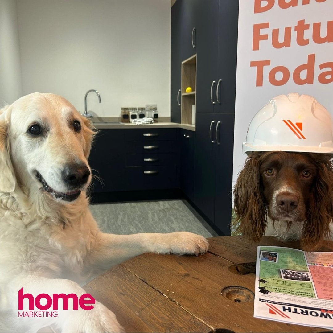 Do we have the cutest clients ever or do we have the cutest clients ever?! 🥰🐶 

John Southworth, we think these good dogs deserve a promotion!