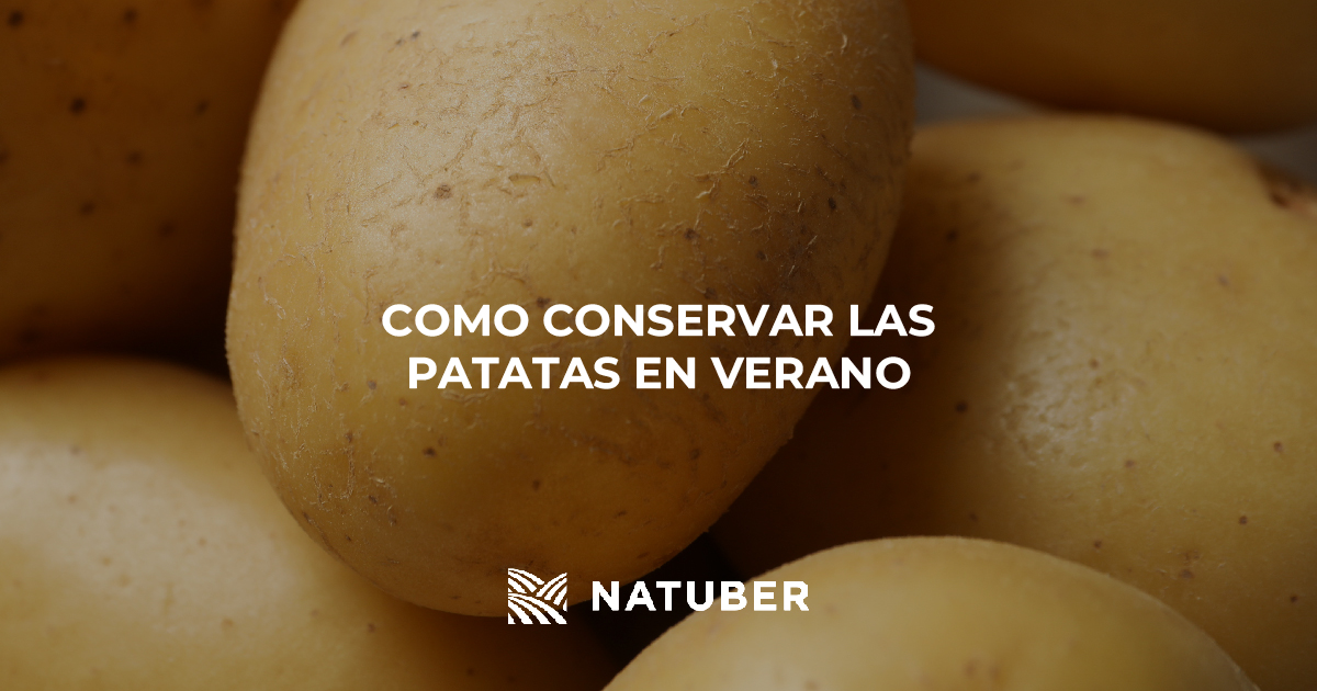 NatuberSL's tweet photo. Este verano debemos empezar a guardar nuestras hortalizas lejos del calor. Con Natuber te traemos algunos tips para conservar tus patatas y mantenerlas en buen estado 🥔
#NATUBER #Calidad #HORECA https://t.co/2YicbosWs0
