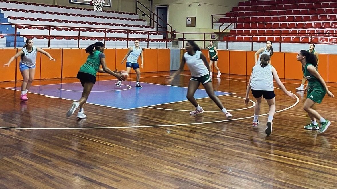 Basketball Ireland tweet media