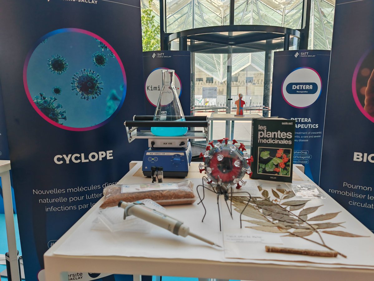 Sandy Desrat tweet media